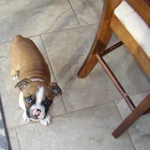 Meet your Posher, Monique